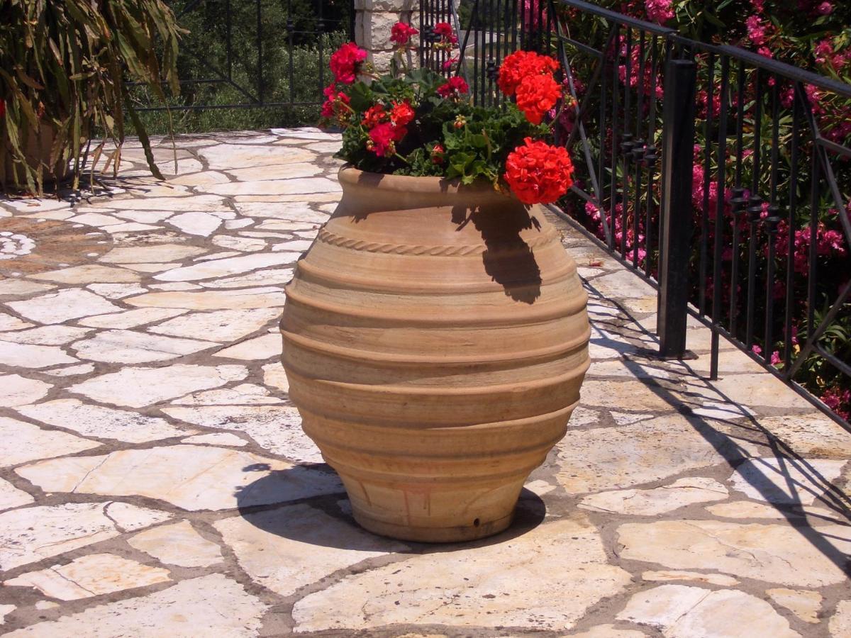 Villa Bacchus Kassiopi Corfu Екстер'єр фото